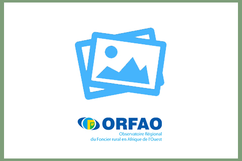 Couverture non disponible